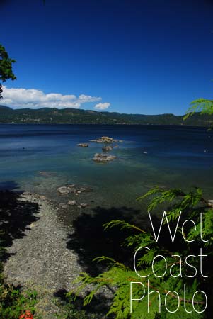 Sooke Basin