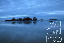 Chesterman's Beach Tofino