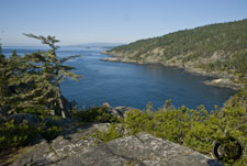 Vancouver Island Coastline